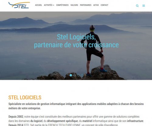 Stelog